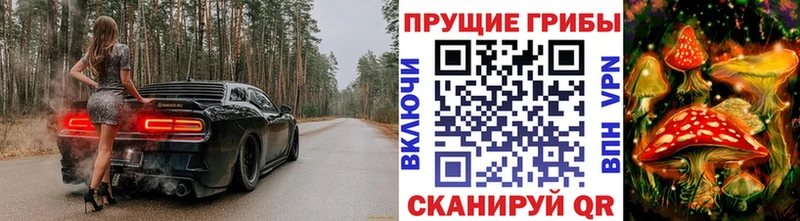 Купить  Гай  Галлюциногенные грибы Magic Shrooms 